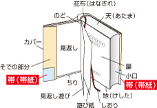 腰帯（こしおび）