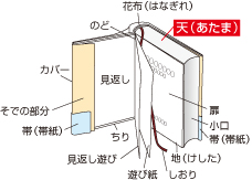 天（てん）